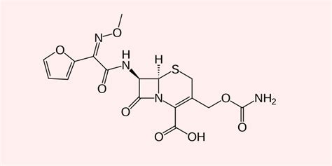 cefuroxime Nursing Considerations & Management - RNpedia