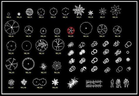 Landscape Design 2D Blocks】★AutoCAD Blocks & Drawings,CAD Details ...