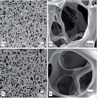 Chitosan Based Hydrogel Helps Regenerate Broken Bones | ChitoLytic