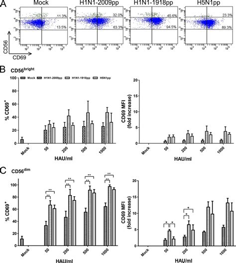 Expression of the early activation marker CD69 on NK cells in response... | Download Scientific ...