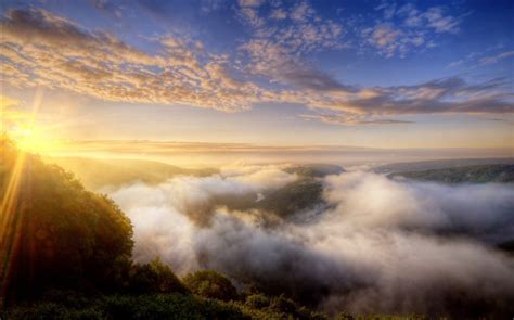 morning mist over the forest-Beautiful natural scenery wallpaper View - 10wallpaper.com