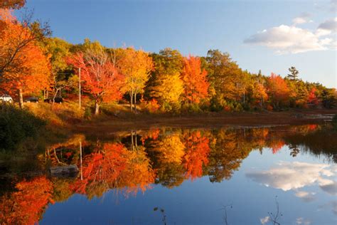 Bar Harbor, Maine, Fall Visitor's Guide: COVID-19 | Geddy's | Geddy's