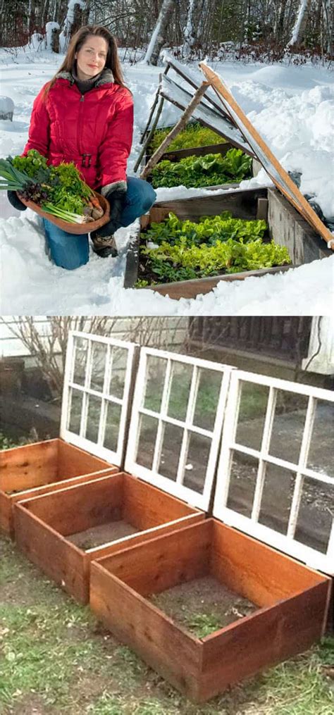 42 Best DIY Greenhouses ( Great Tutorials & Plans! ) - A Piece of Rainbow