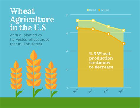 Wheat Agriculture in US Area Chart Template - Venngage