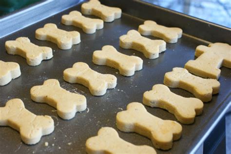 4-Ingredient Dog Biscuits - Easy Recipes