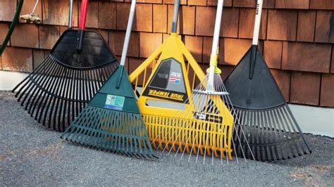 You're raking leaves wrong—here's how to rake leaves right in 7 steps - Reviewed