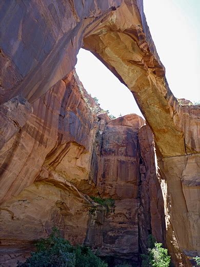 Escalante River Trail, Grand Staircase-Escalante National Monument, Utah