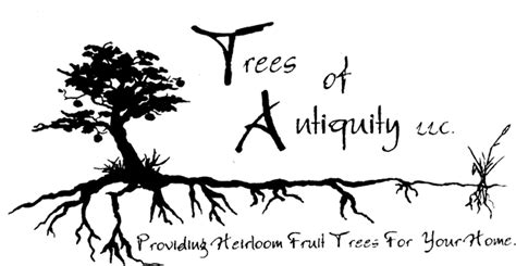 Heirloom Fruit Trees for Home & Farm-Trees of Antiquity rooted organic