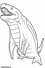 Basking Shark Cute coloring Page sketch template