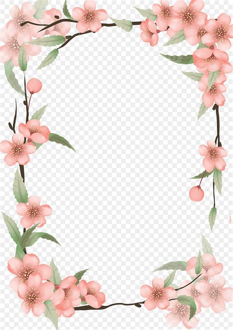 Pink Cherry Blossoms Hd Transparent, Pink Cherry Blossom Border, Plant ...