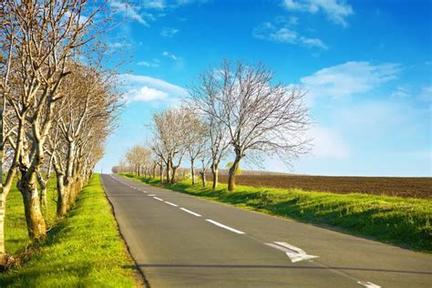 Road scenery stock image. Image of highway, greenery, destination - 5598007