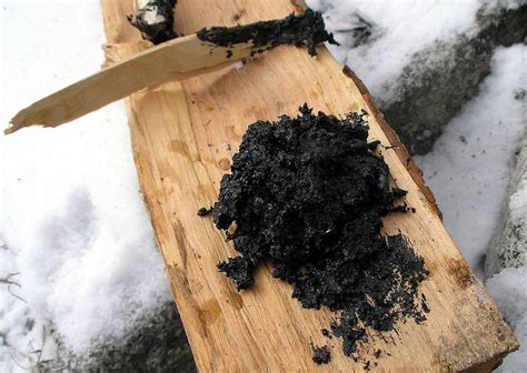 Birch tar - Alchetron, The Free Social Encyclopedia