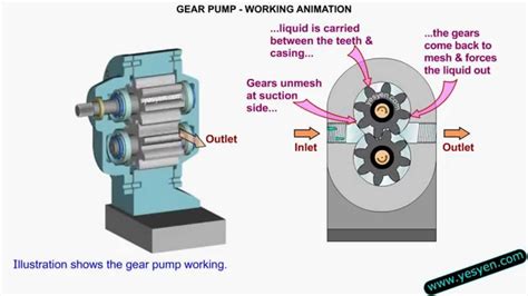 Gear Pump: External Gear Pump Animation