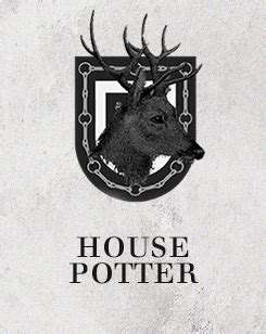 Harry Potter Houses - Harry Potter Fan Art (37255070) - Fanpop