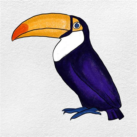 How to Draw a Toucan - HelloArtsy