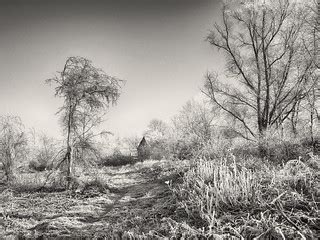 Winter | Meadow in Winter plumage. | Johan Neven | Flickr