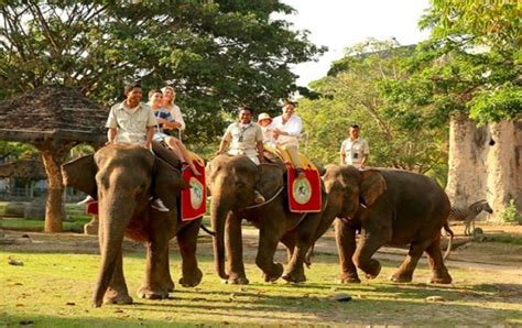 Bali Safari Elephant Ride | Bali Sun Tours