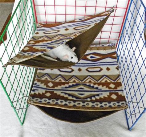 Rat hammock, Rats and Hammocks on Pinterest