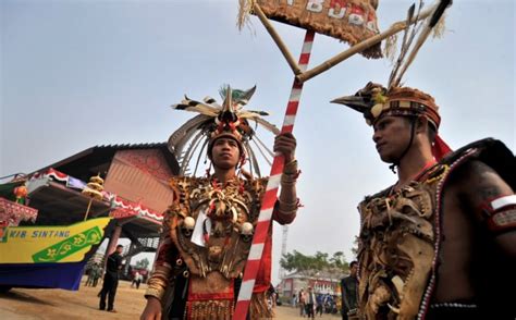 5 Fakta Mencengangkan Panglima Burung Suku Dayak, Nomor 4 Terbangkan Mandau untuk Cari Korban ...