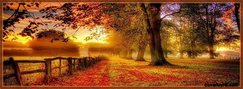 Autumn Fence Facebook Cover | Autumn scenery, Autumn landscape, Fall wallpaper