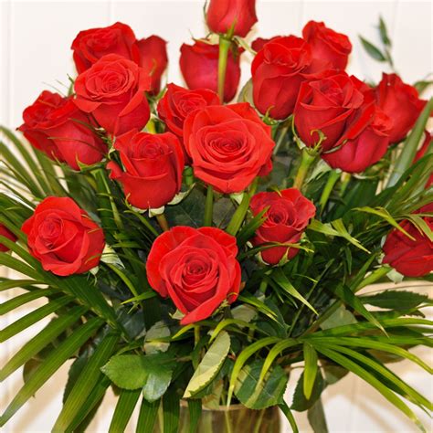Two Dozen Red Roses - Floral Expressions