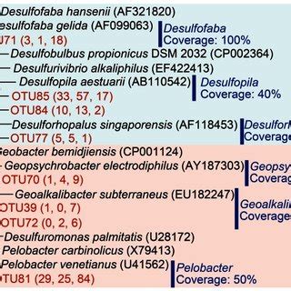 Phylogenetic classification of Deltaproteobacteria sequences obtained... | Download Scientific ...