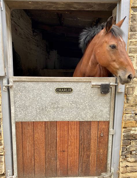 14 Stall Signs for Your Horse Barn - STABLE STYLE