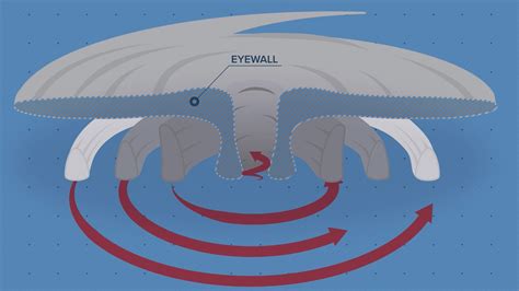 Why a hurricane eyewall is so dangerous | 13wmaz.com