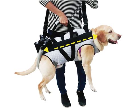 EZ-Care Pet - Dog Full-body Lift Vest Harness | Taiwantrade.com