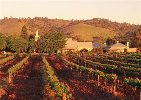 Visit Barossa Valley on a trip to Australia | Audley Travel UK