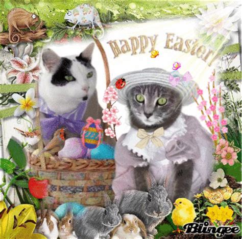 Cat Happy Easter Picture Pictures, Photos, and Images for Facebook ...