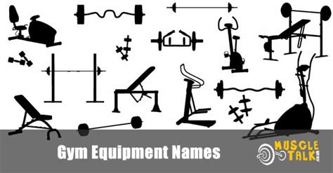 Gym Equipment Names - Guide Including the Muscles They Work