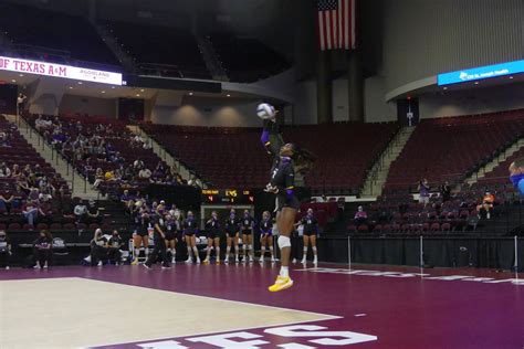 LSU volleyball opens fall season with two losses at Texas A&M | Tiger Rag