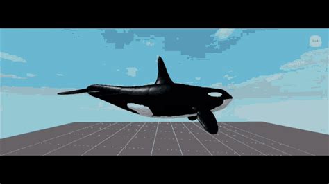 Orca GIF - Orca - Discover & Share GIFs