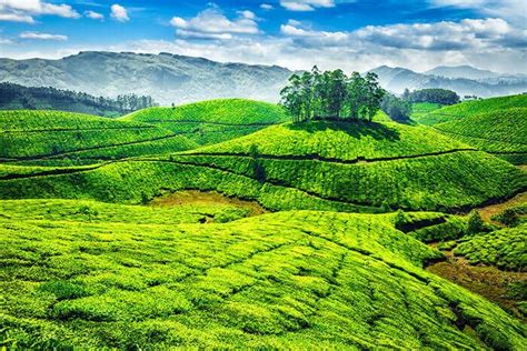 Top 16 Best Places To Visit In Munnar In 2022 (Map+Photos) – Iris Holidays