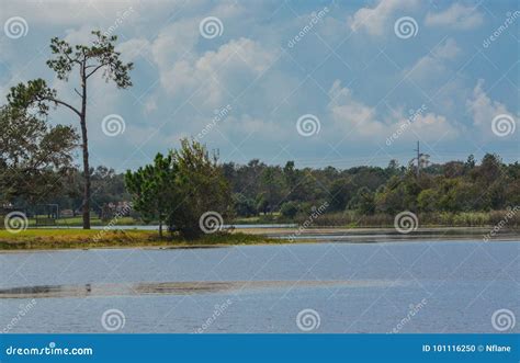 The View of Walsingham Lake at Walsingham Park Stock Photo - Image of fresh, background: 101116250