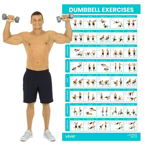 Buy ViveDumbbell Workout - Home Gym Exercise for Upper, Lower, Full ...