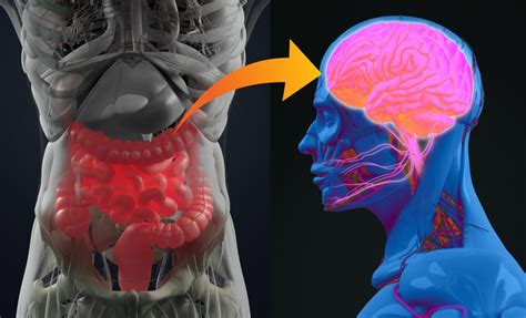 Disorders of Gut-Brain Interaction Diagnostic Criteria for Clinical ...