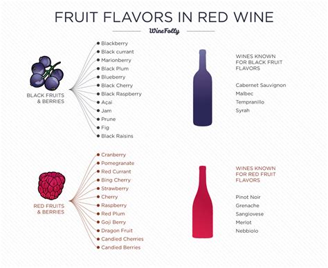 Wine Folly | Identifying Fruit Flavors in Wine — Wine Tourist Magazine