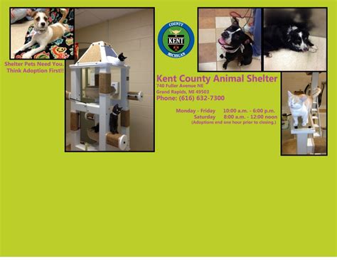 Kent County Animal Shelter