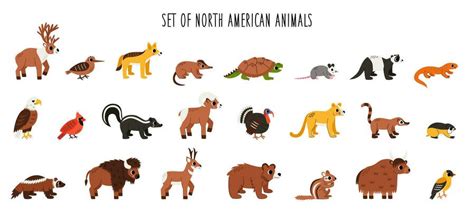 North American Animals Vector Art, Icons, and Graphics for Free Download