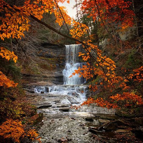 Autumn Falls | Smithsonian Photo Contest | Smithsonian Magazine