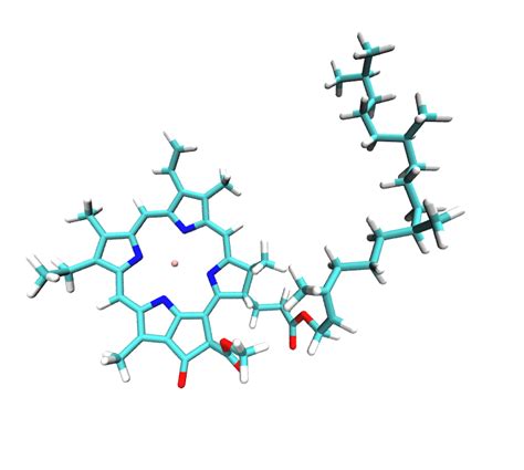 Structure of the chlorophyll molecule. | Download Scientific Diagram