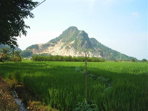 Gambar Pemandangan Gunung Dan Sawah