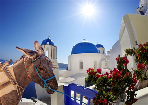 Tourists over 220 pounds can no longer ride donkeys in Santorini