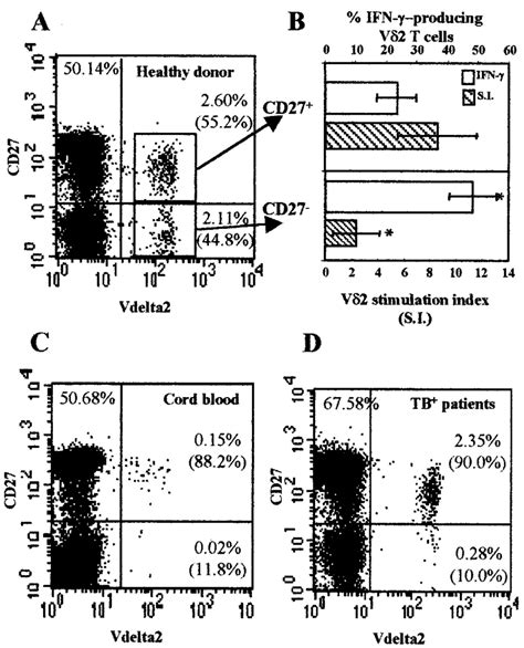 CD27 expression can discriminate between T cell effector/memory ...