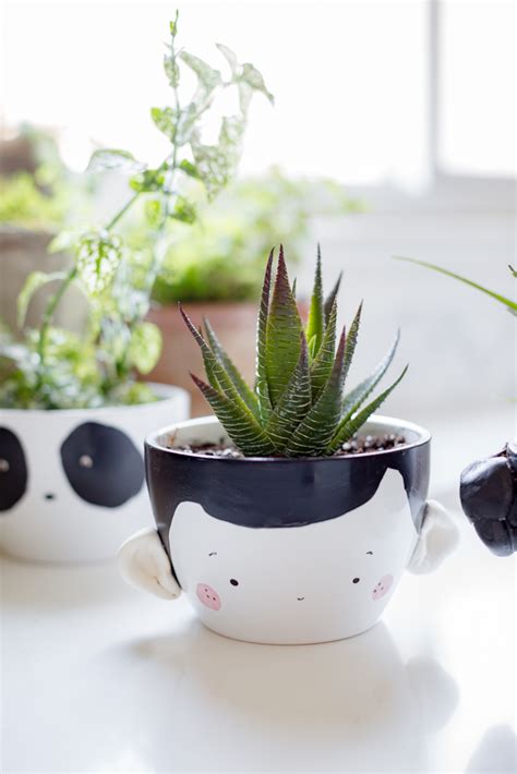 Adorable Face Planter DIY