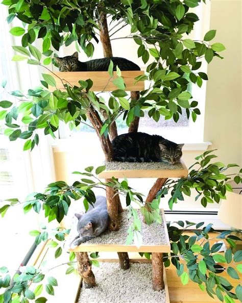 20+ Real Tree Cat Tree – HomeDecorish