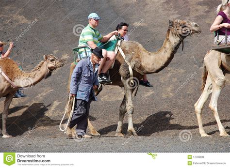 Timanfaya national park editorial stock photo. Image of guide - 17700838