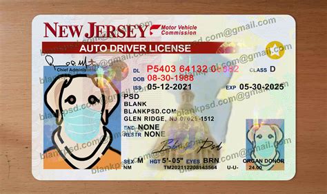 New Jersey Drivers License Template New V2 V2 - Blank PSD